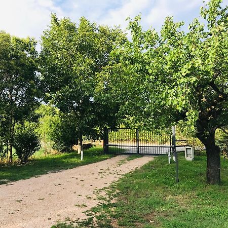 Una Casa Di Campagna Dossobuono Eksteriør bilde