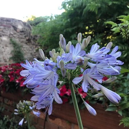Una Casa Di Campagna Dossobuono Eksteriør bilde