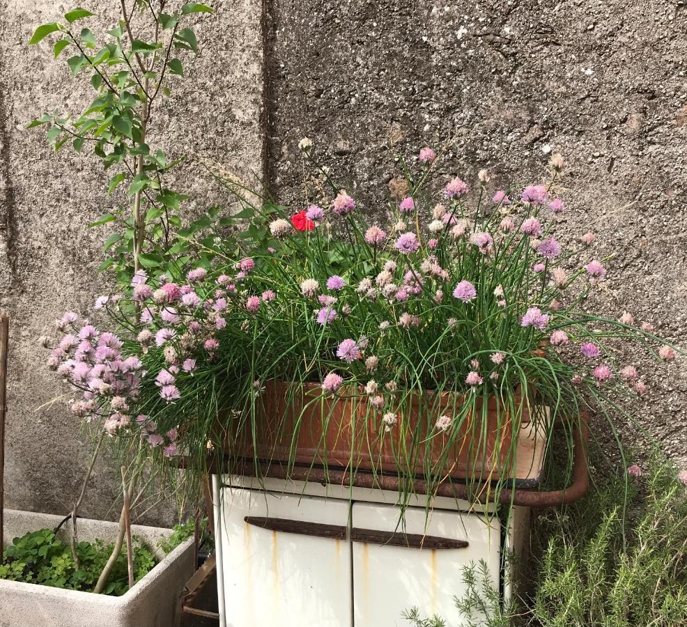 Una Casa Di Campagna Dossobuono Eksteriør bilde