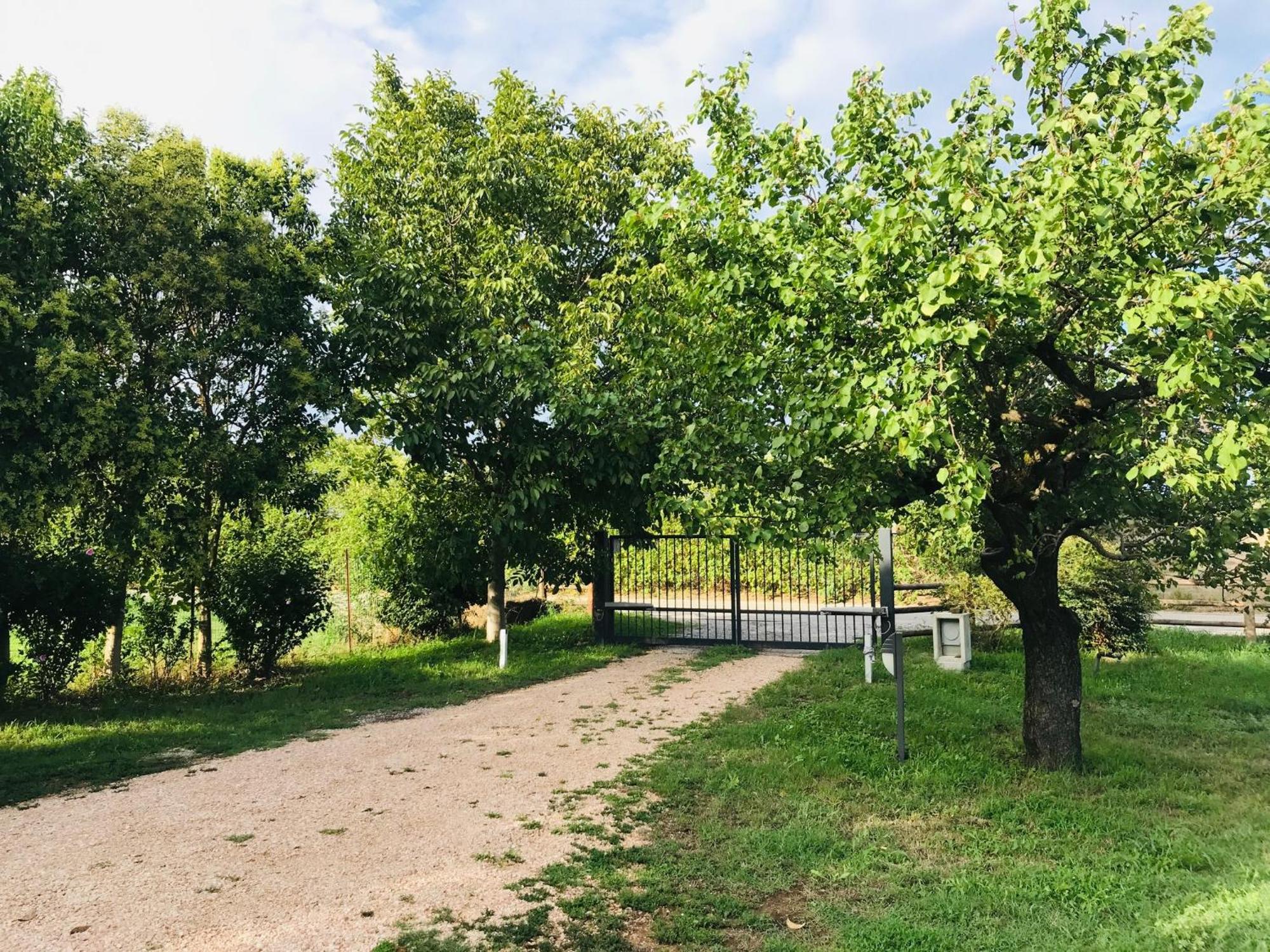 Una Casa Di Campagna Dossobuono Eksteriør bilde
